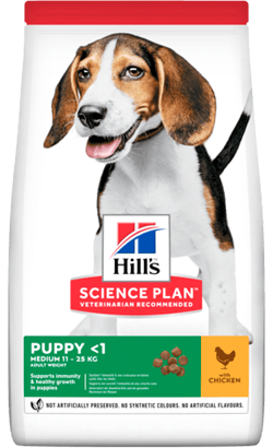 Hills Science Plan Medium Puppy with Chicken | 14 kg