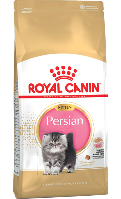 Royal Canin Kitten Persian | 4 kg