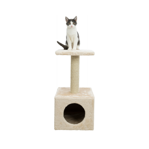  Arranhador Zamora - Pet Premium Food